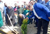 توزیع ۲۰ هزار نهال در بین شهروندان اسلامشهر در هفته درختکاری