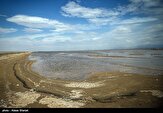 آب رودخانه کردان به تالاب صالحیه رسید