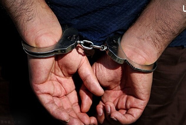 ۱۵ سارق سابقه‌دار کردستان بازداشت شدند