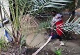 امدادرسانی به عشایر گرفتار شده در سیلاب‌ بخش شهیون