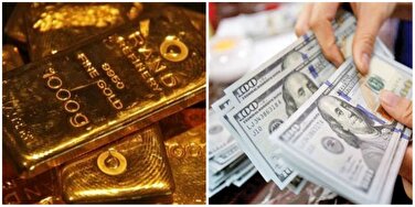 قیمت طلا، قیمت دلار و قیمت سکه و ارز ۱۴۰۳/۰۲/۰۵